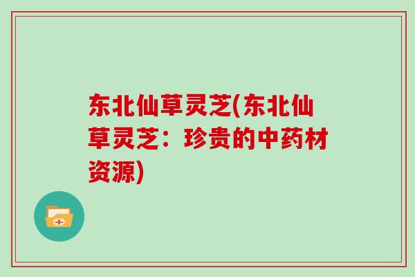 东北仙草灵芝(东北仙草灵芝:珍贵的中药材资源)-第1张图片-灵芝大师 东北仙草灵芝(东北仙草灵芝:珍贵的中药材资源)-第1张图片-灵芝大师