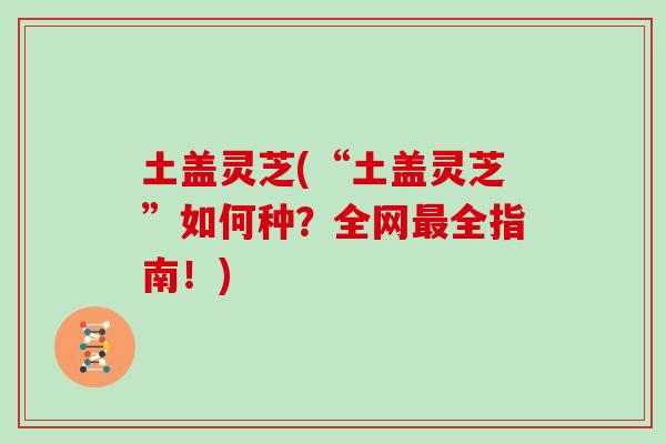土盖灵芝(“土盖灵芝”如何种？全网最全指南！)