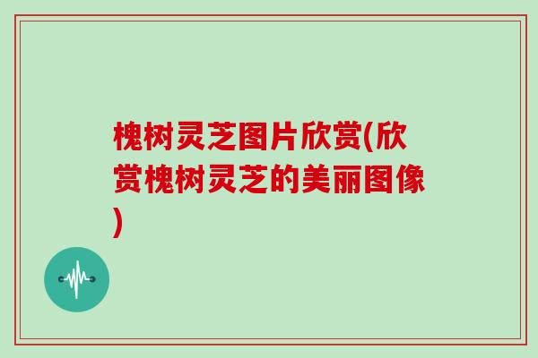 槐树灵芝图片欣赏(欣赏槐树灵芝的美丽图像)