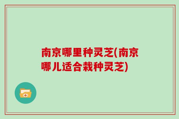 南京哪里种灵芝(南京哪儿适合栽种灵芝)