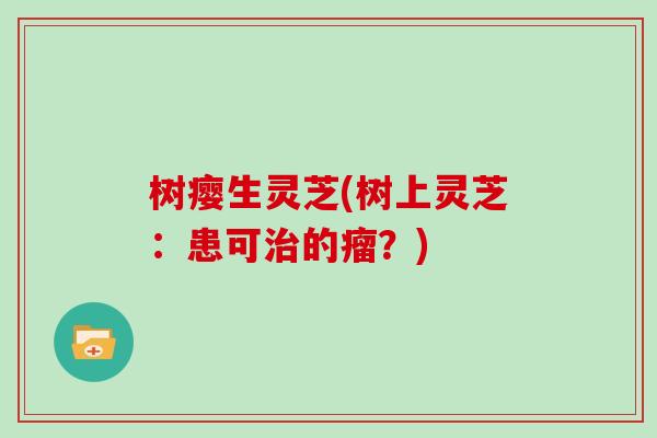 树瘿生灵芝(树上灵芝:患可治的瘤?)-第1张图片-灵芝大师 树瘿生灵芝(树上灵芝:患可治的瘤?)-第1张图片-灵芝大师