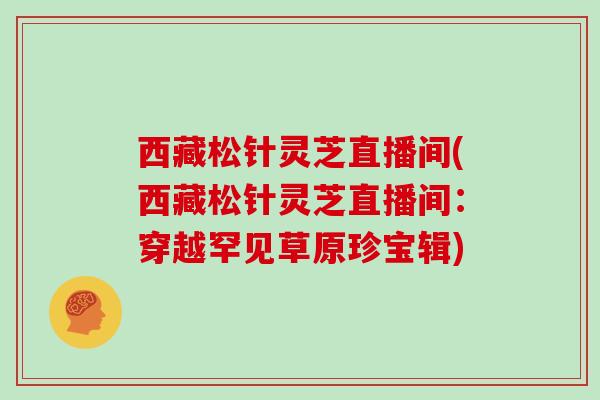 西藏松针灵芝直播间(西藏松针灵芝直播间：穿越罕见草原珍宝辑)