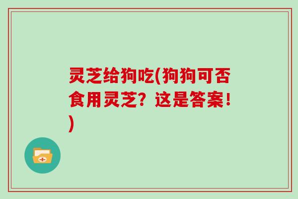 灵芝给狗吃(狗狗可否食用灵芝？这是答案！)