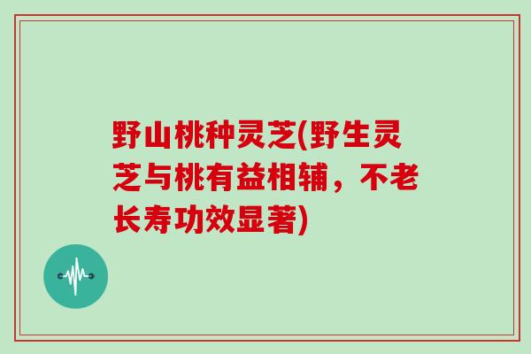 野山桃种灵芝(野生灵芝与桃有益相辅，不老长寿功效显著)