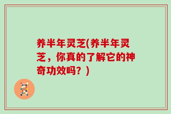 养半年灵芝(养半年灵芝，你真的了解它的神奇功效吗？)