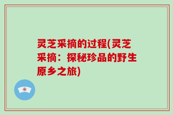 灵芝采摘的过程(灵芝采摘：探秘珍品的野生原乡之旅)-第1张图片-灵芝大师