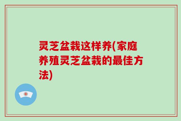 灵芝盆栽这样养(家庭养殖灵芝盆栽的最佳方法)