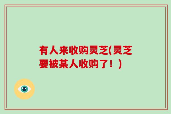 有人来收购灵芝(灵芝要被某人收购了！)