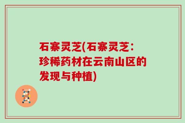 石寨灵芝(石寨灵芝：珍稀药材在云南山区的发现与种植)