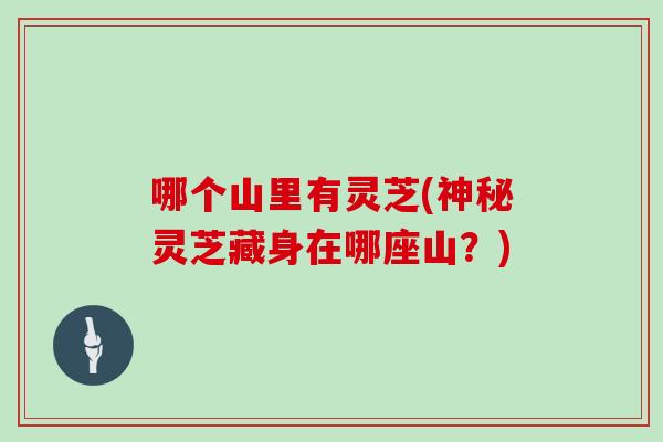 哪个山里有灵芝(神秘灵芝藏身在哪座山？)