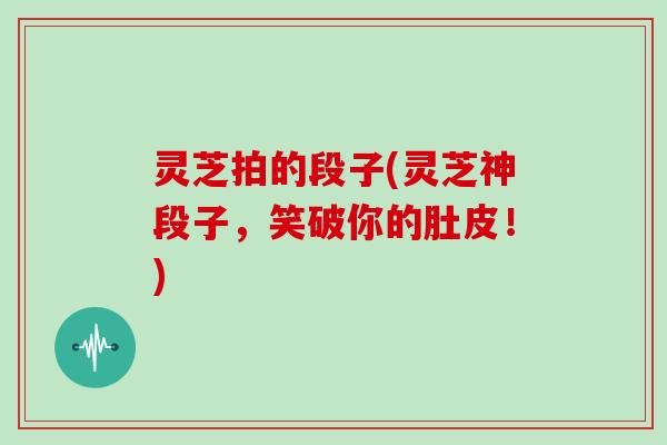 灵芝拍的段子(灵芝神段子，笑破你的肚皮！)