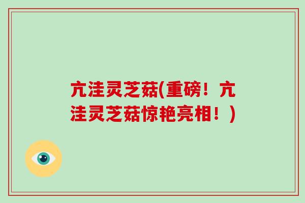 亢洼灵芝菇(重磅！亢洼灵芝菇惊艳亮相！)