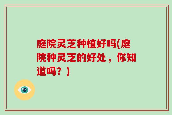 庭院灵芝种植好吗(庭院种灵芝的好处，你知道吗？)