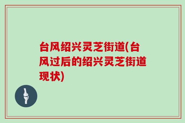 台风绍兴灵芝街道(台风过后的绍兴灵芝街道现状)