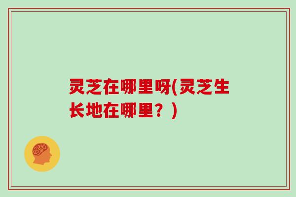 灵芝在哪里呀(灵芝生长地在哪里？)