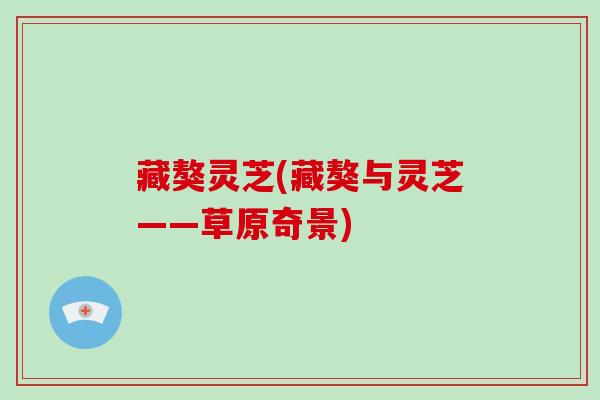 藏獒灵芝(藏獒与灵芝——草原奇景)