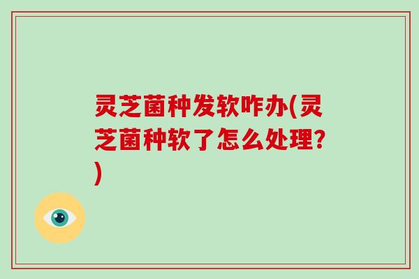 灵芝菌种发软咋办(灵芝菌种软了怎么处理?)-第1张图片-灵芝大师 灵芝菌种发软咋办(灵芝菌种软了怎么处理?)-第1张图片-灵芝大师