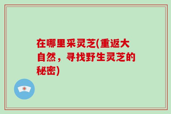 在哪里采灵芝(重返大自然，寻找野生灵芝的秘密)-第1张图片-灵芝大师