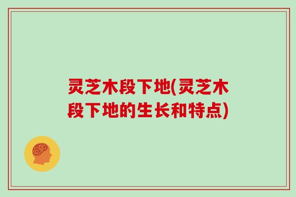 灵芝木段下地(灵芝木段下地的生长和特点)