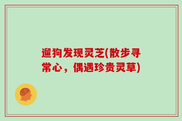 遛狗发现灵芝(散步寻常心，偶遇珍贵灵草)