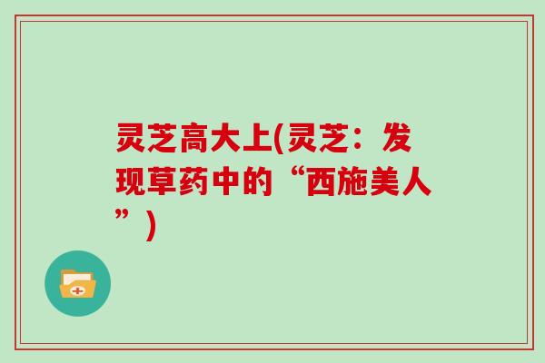 灵芝高大上(灵芝：发现草药中的“西施美人”)