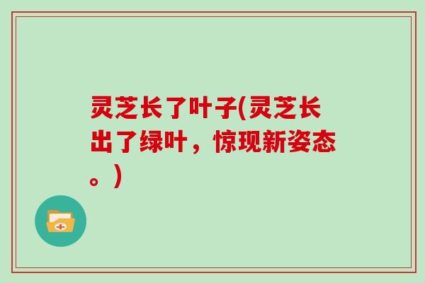 灵芝长了叶子(灵芝长出了绿叶，惊现新姿态。)