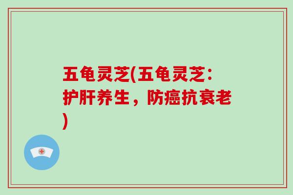 五龟灵芝(五龟灵芝：护肝养生，防癌抗衰老)