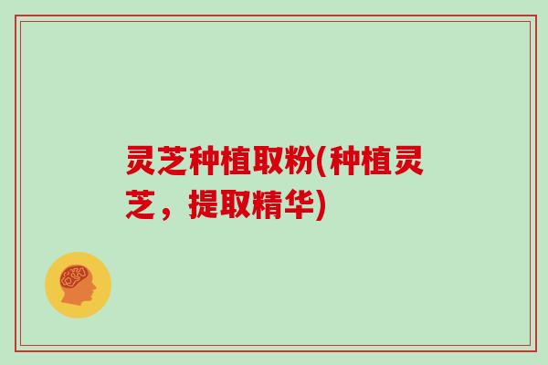 灵芝种植取粉(种植灵芝，提取精华)