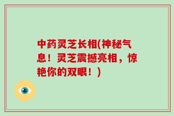 中药灵芝长相(神秘气息！灵芝震撼亮相，惊艳你的双眼！)