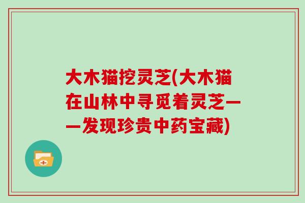 大木猫挖灵芝(大木猫在山林中寻觅着灵芝——发现珍贵中药宝藏)