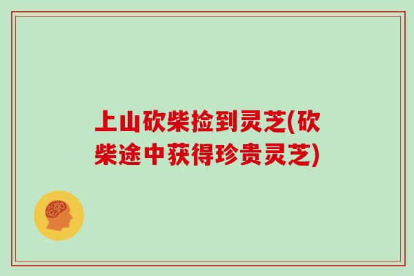 上山砍柴捡到灵芝(砍柴途中获得珍贵灵芝)