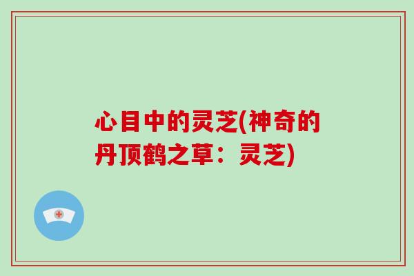 心目中的灵芝(神奇的丹顶鹤之草：灵芝)