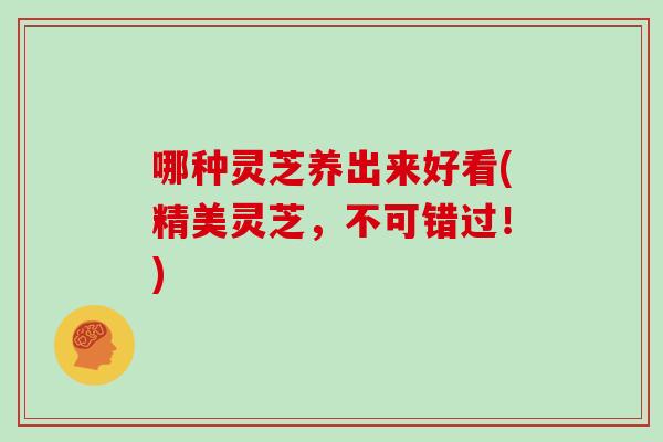 哪种灵芝养出来好看(精美灵芝，不可错过！)