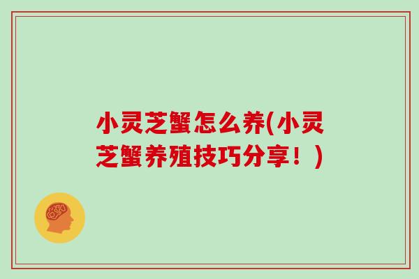 小灵芝蟹怎么养(小灵芝蟹养殖技巧分享！)