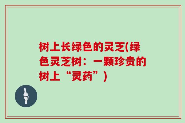 树上长绿色的灵芝(绿色灵芝树：一颗珍贵的树上“灵药”)
