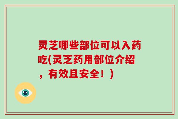 灵芝哪些部位可以入药吃(灵芝药用部位介绍，有效且安全！)