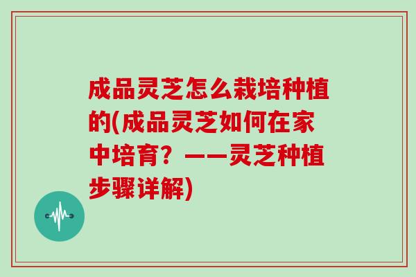 成品灵芝怎么栽培种植的(成品灵芝如何在家中培育？——灵芝种植步骤详解)