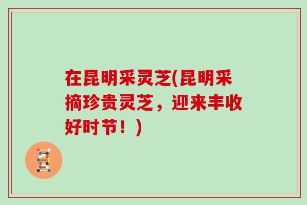 在昆明采灵芝(昆明采摘珍贵灵芝，迎来丰收好时节！)