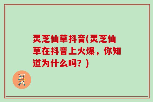 灵芝仙草抖音(灵芝仙草在抖音上火爆，你知道为什么吗？)
