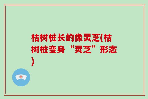 枯树桩长的像灵芝(枯树桩变身“灵芝”形态)