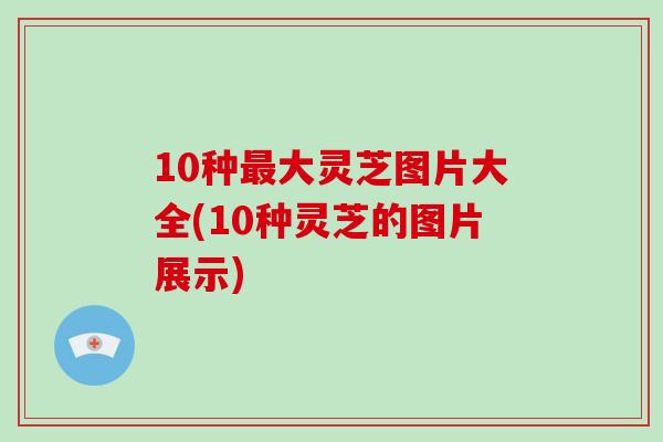 10种最大灵芝图片大全(10种灵芝的图片展示)