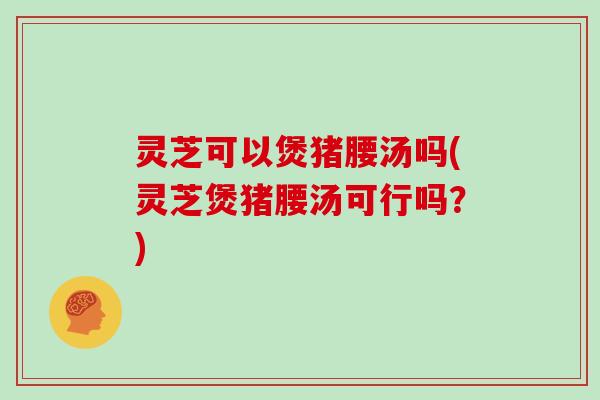 灵芝可以煲猪腰汤吗(灵芝煲猪腰汤可行吗？)
