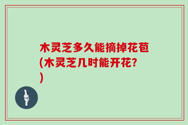 木灵芝多久能摘掉花苞(木灵芝几时能开花？)