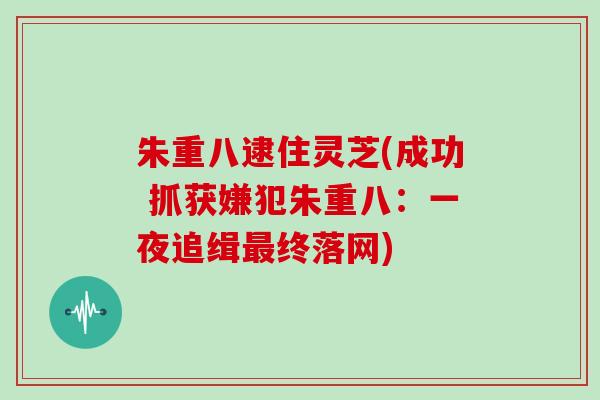 朱重八逮住灵芝(成功 抓获嫌犯朱重八：一夜追缉最终落网)