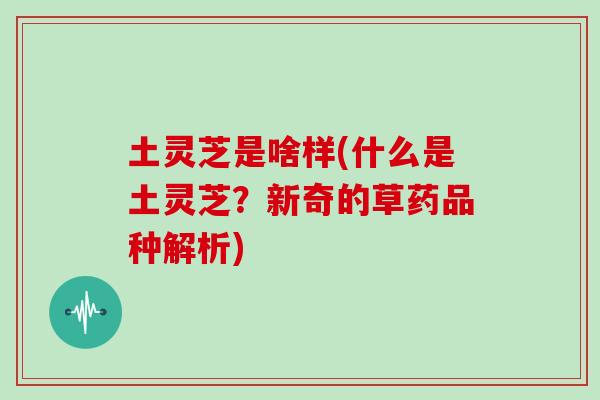 土灵芝是啥样(什么是土灵芝？新奇的草药品种解析)