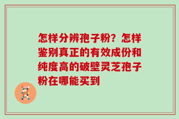 怎样分辨孢子粉？怎样鉴别真正的有效成份和纯度高的破壁灵芝孢子粉在哪能买到