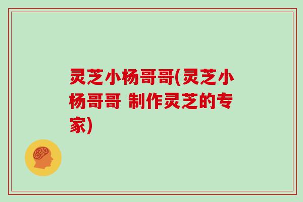 灵芝小杨哥哥(灵芝小杨哥哥 制作灵芝的专家)