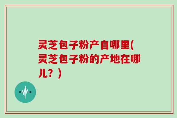 灵芝包子粉产自哪里(灵芝包子粉的产地在哪儿？)