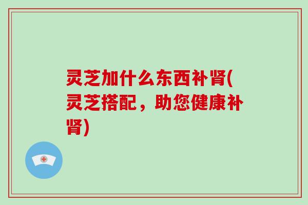 灵芝加什么东西补肾(灵芝搭配，助您健康补肾)