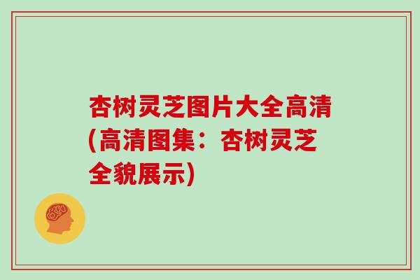 杏树灵芝图片大全高清(高清图集：杏树灵芝全貌展示)